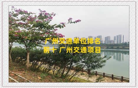 广州交通单位排名前十 广州交通项目